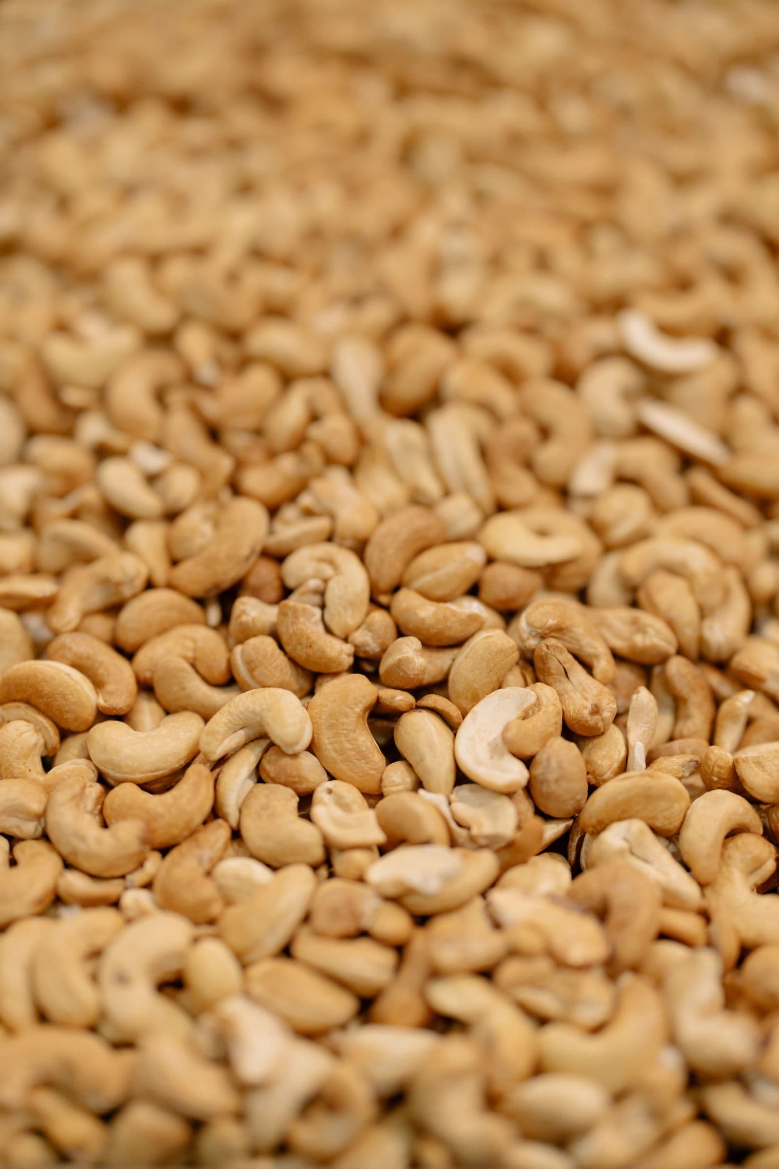 Cashew Pieces (Broken)
