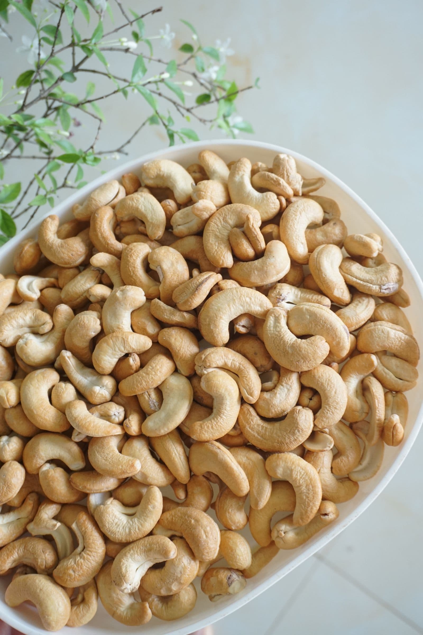 Cashew W-320