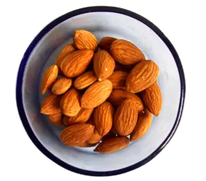 almonds, oil, nutrition, ingredient, organic, natural, healthy, nut, tasty, diet, cooking, supplement, fat, protein, snack, fatty, nutrient, cholesterol, delicious, food, almond, dish, asia, eat, almonds, almonds, almonds, almonds, almond, almond, almond, almond, almond