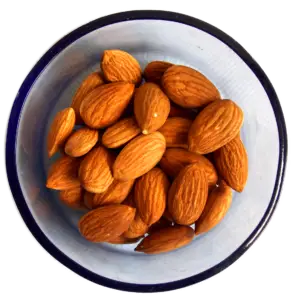 almonds, oil, nutrition, ingredient, organic, natural, healthy, nut, tasty, diet, cooking, supplement, fat, protein, snack, fatty, nutrient, cholesterol, delicious, food, almond, dish, asia, eat, almonds, almonds, almonds, almonds, almond, almond, almond, almond, almond