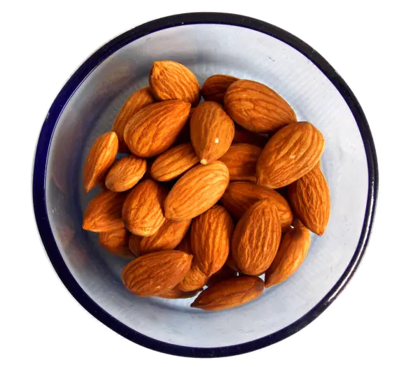 almonds, oil, nutrition, ingredient, organic, natural, healthy, nut, tasty, diet, cooking, supplement, fat, protein, snack, fatty, nutrient, cholesterol, delicious, food, almond, dish, asia, eat, almonds, almonds, almonds, almonds, almond, almond, almond, almond, almond